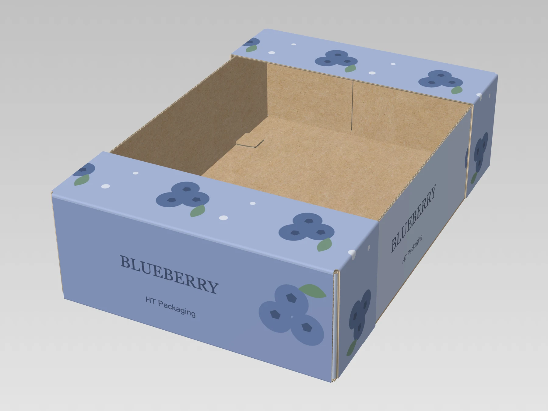 Wide-rim display tray, assembled, blueberry-printed exterior, small HT Packaging text and plain kraft interior