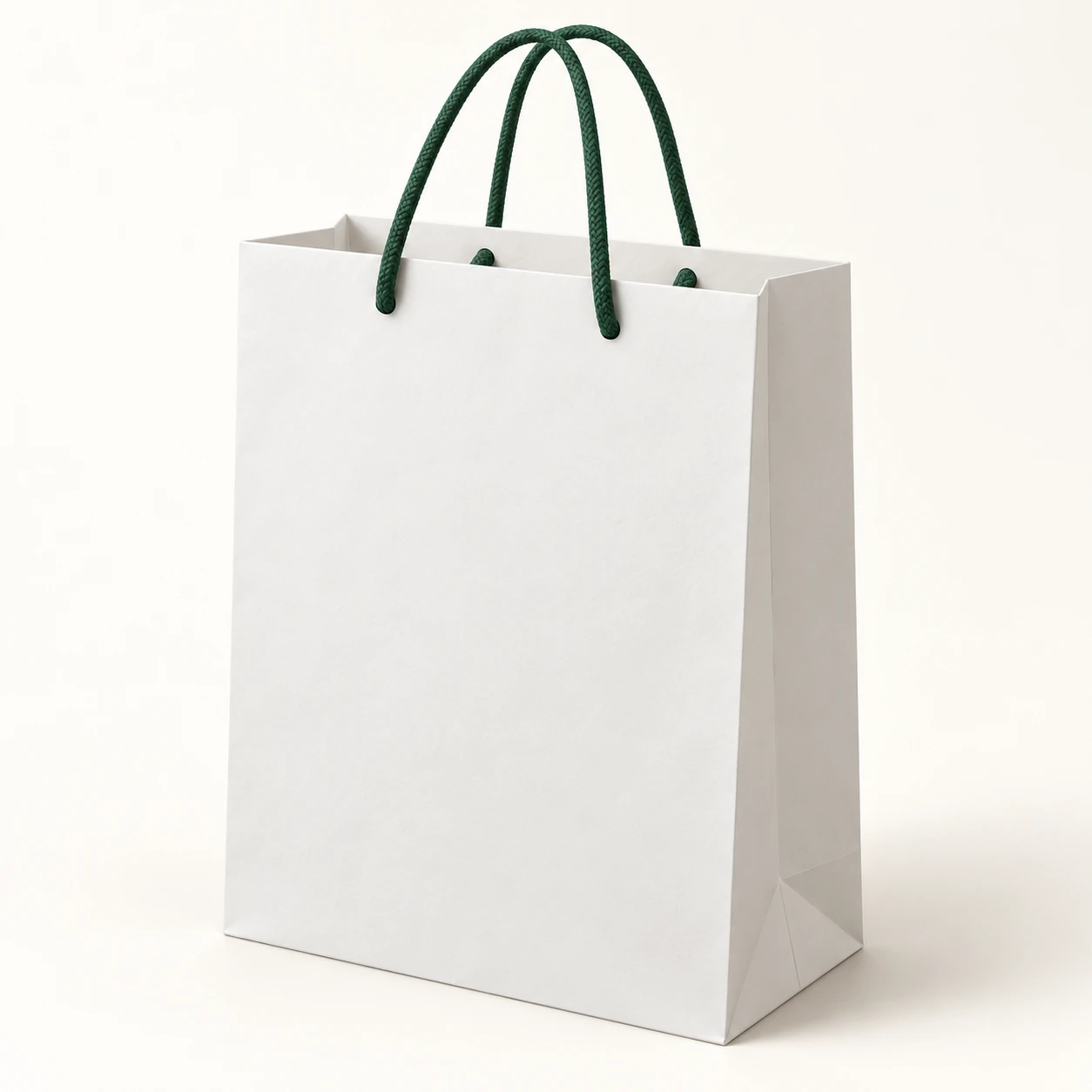 Rope-handle shopping bag, unprinted structure reference