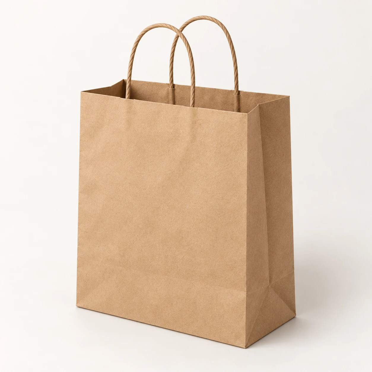 Twisted paper-handle bag, unprinted structure reference